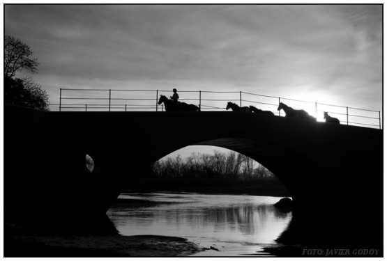 Foto 2/PUENTE VIEJO