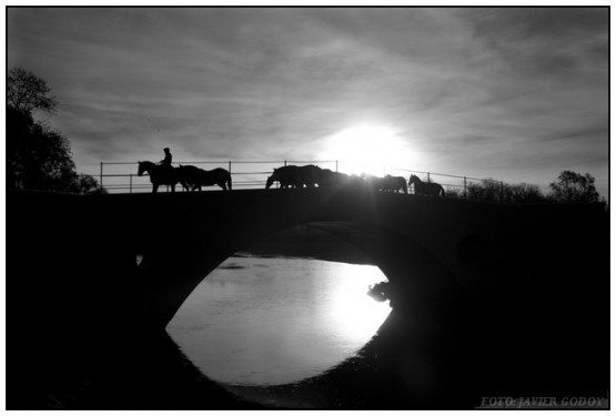 Foto 4/PUENTE VIEJO