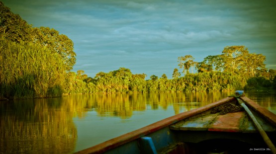 Foto 3/amazona peruana