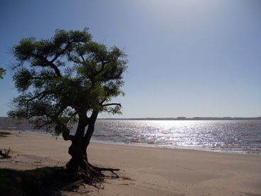 Foto 3/Lugares del Lago Salto Grande