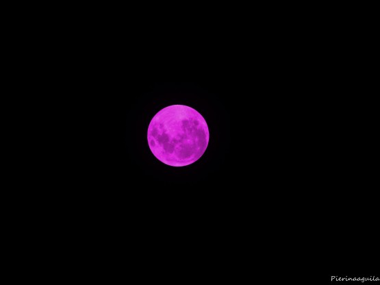 Foto 5/``La Luna, tu amiga, toda la noche te acompaara``