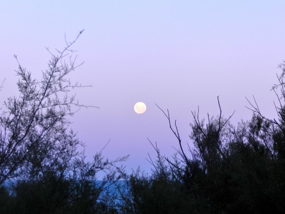 Foto 4/Mar,luna....