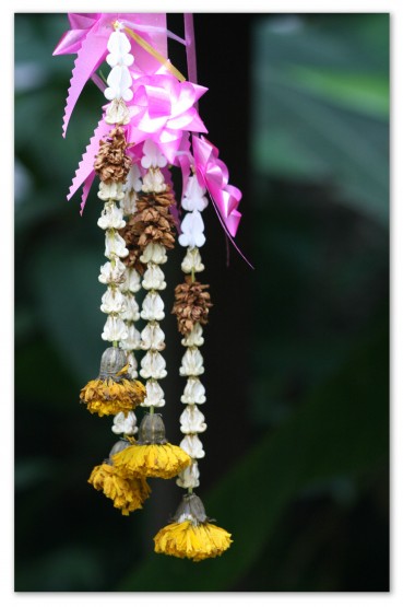 Foto 2/Thai Flowers
