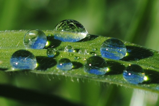 Foto 5/Despus de la lluvia