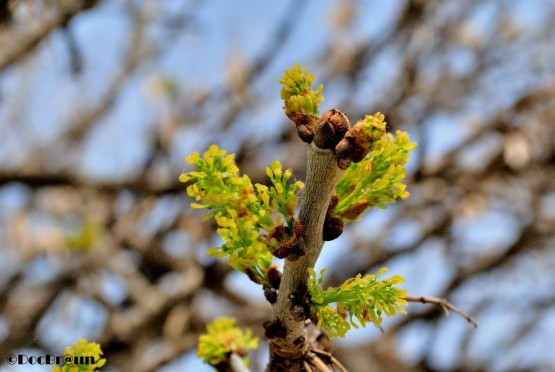 Foto 4/Se viene la primavera!