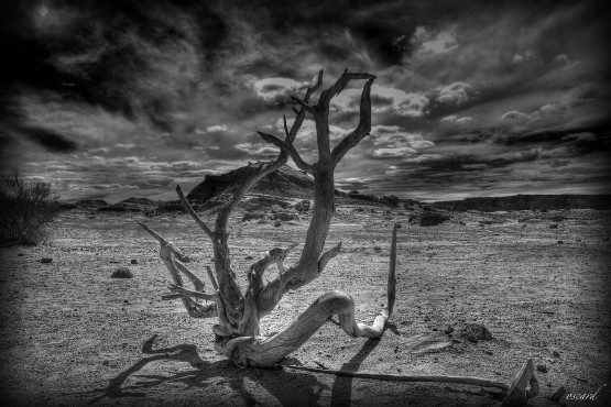 Foto 1/Odisea en el Valle de la Luna