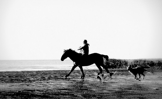 Foto 5/costa del ro de la plata