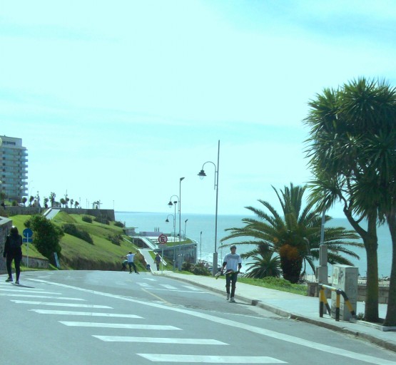 Foto 4/Mar Del Plata Verde !!!.