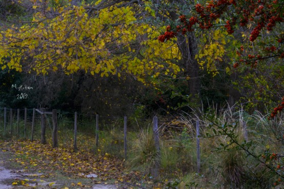 Foto 3/Alambrados, tranqueras y pircas