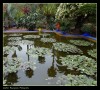 Jardines Majorelle