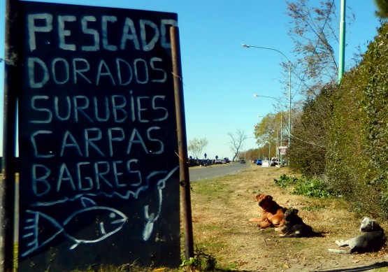 Foto 2/carteles de ro en punta lara