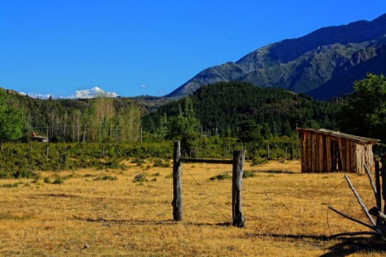 Foto 3/Recuerdos patagnicos