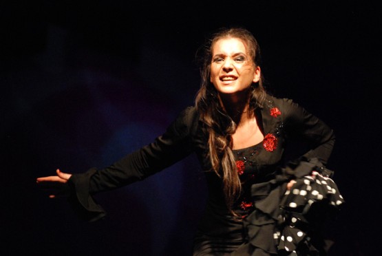 Foto 4/Flamenco apasionado