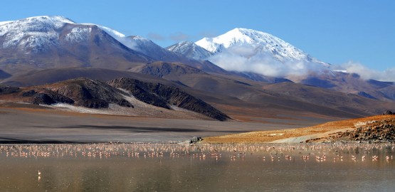 Foto 4/Antofagasta de la Sierra