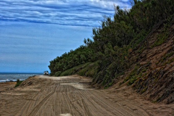 Foto 4/Excursin, playas, trenes y varios II