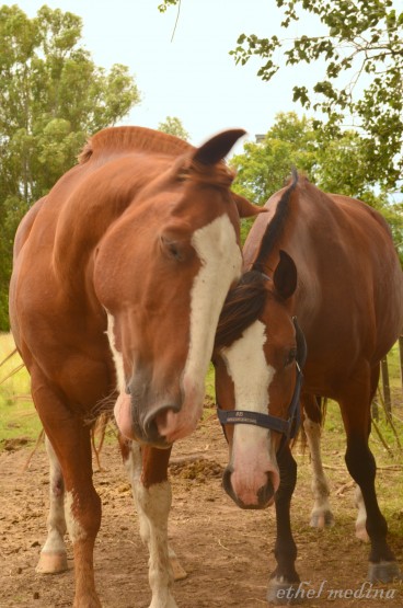 Foto 4/Amor a primera vista