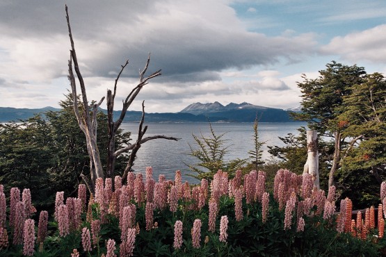 Foto 4/tierra del fuego y del fin del mundo. . .