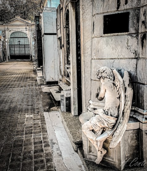 Foto 1/Imgenes del Cementerio de Recoleta