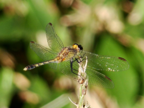 Foto 4/EQUILIBRIO Y BELLEZA NATURALES