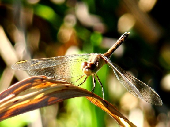 Foto 5/EQUILIBRIO Y BELLEZA NATURALES