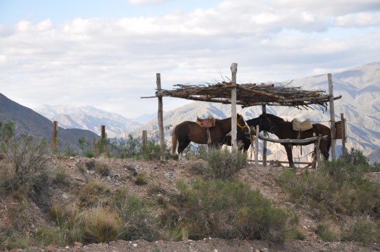 Foto 1/corrales criollos . . .