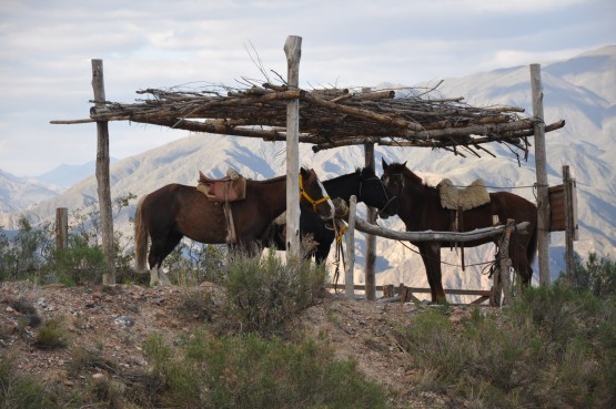 Foto 2/corrales criollos . . .