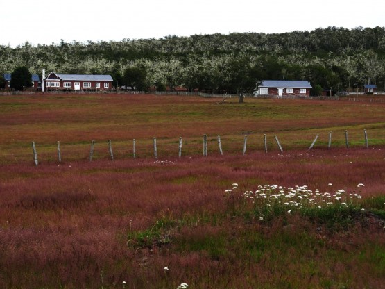 Foto 1/Estancia Fueguina