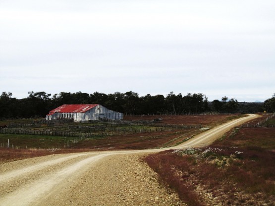 Foto 4/Estancia Fueguina