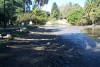 Dos extremos del lago del bosque