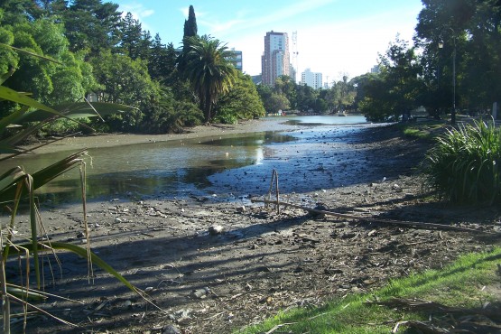 Foto 3/Dos extremos del lago del bosque