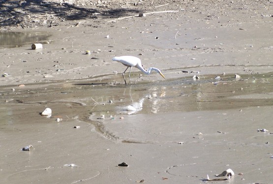 Foto 1/Recorriendo el lago medio seco...