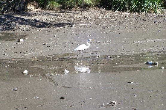 Foto 2/Recorriendo el lago medio seco...