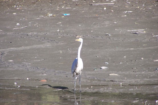 Foto 3/Recorriendo el lago medio seco...