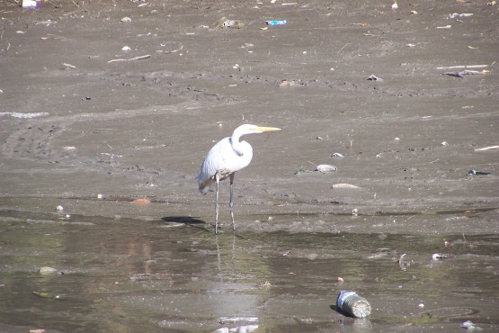 Foto 4/Recorriendo el lago medio seco...