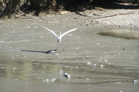 Foto 5/Recorriendo el lago medio seco...