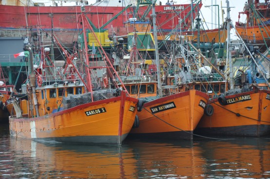 Foto 5/barcos de pesca argentinos. . .