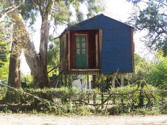 Foto 5/Imgenes de la Isla Paulino I