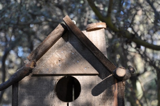 Foto 3/las casitas para aves. . .