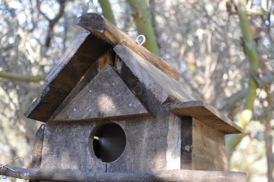 Foto 4/las casitas para aves. . .