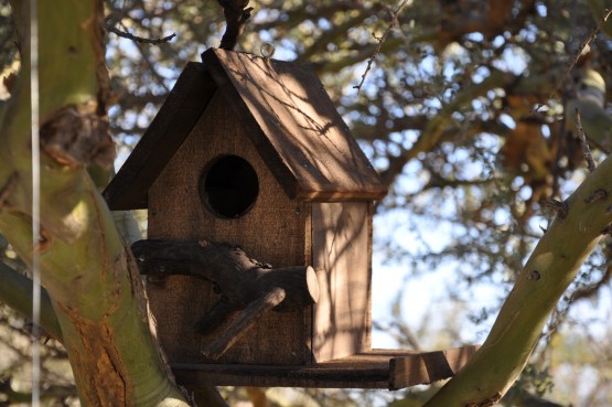 Foto 5/las casitas para aves. . .