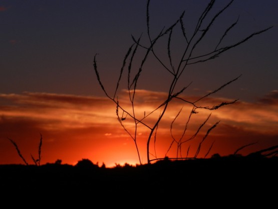 Foto 3/atardecer en la ruta