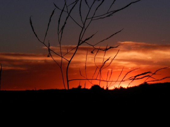 Foto 4/atardecer en la ruta