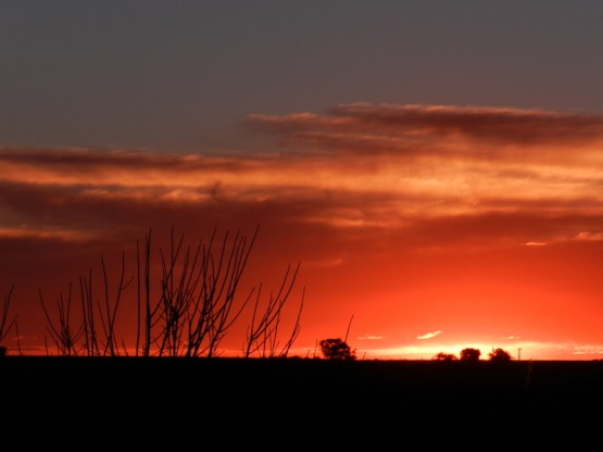 Foto 5/atardecer en la ruta