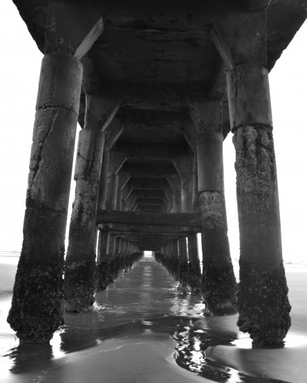 Foto 1/El Muelle...