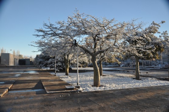 Foto 1/nevada en el parque central de la ciudad de mza.-