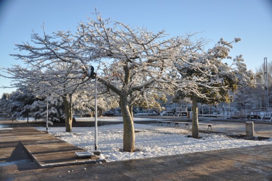 Foto 2/nevada en el parque central de la ciudad de mza.-