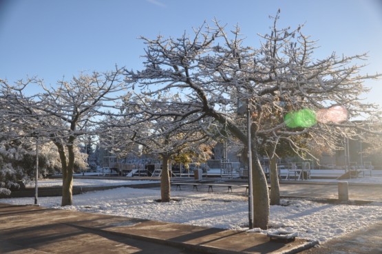 Foto 3/nevada en el parque central de la ciudad de mza.-