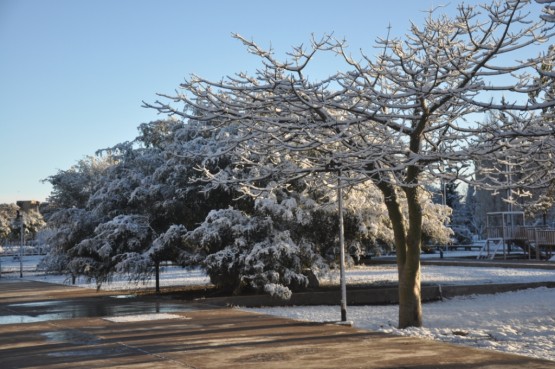 Foto 4/nevada en el parque central de la ciudad de mza.-