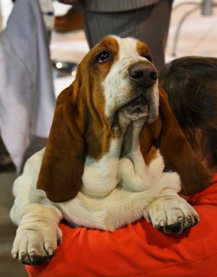 Foto 1/miradas que enamoran