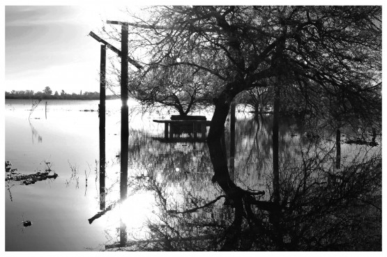 Foto 2/Fantasmas del agua